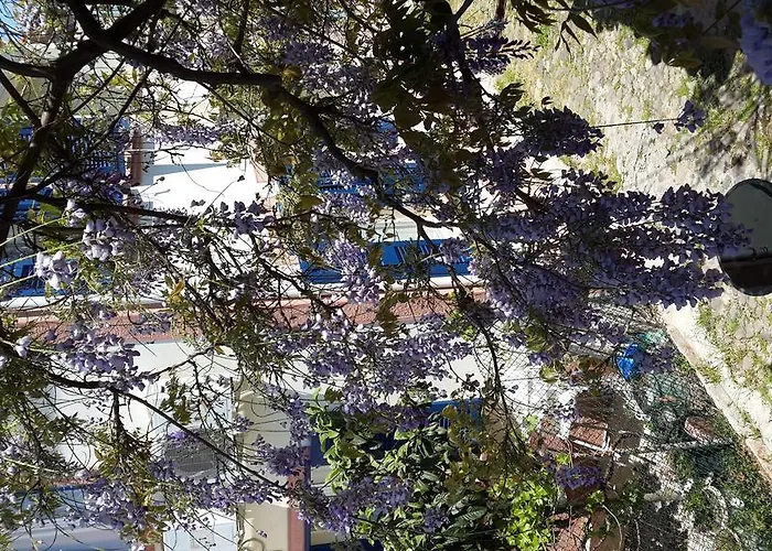 Cunda Altay Hotel * Айвалик