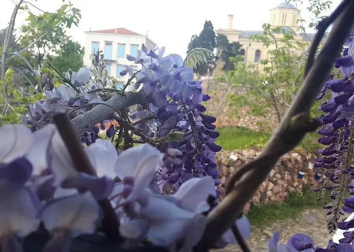 Cunda Altay Hotel Айвалик