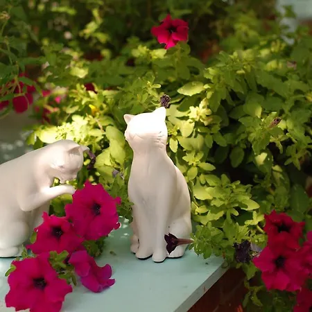 Cunda Altay Hotel ホテル *