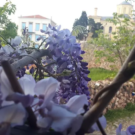 Cunda Altay Hotel Ayvalı