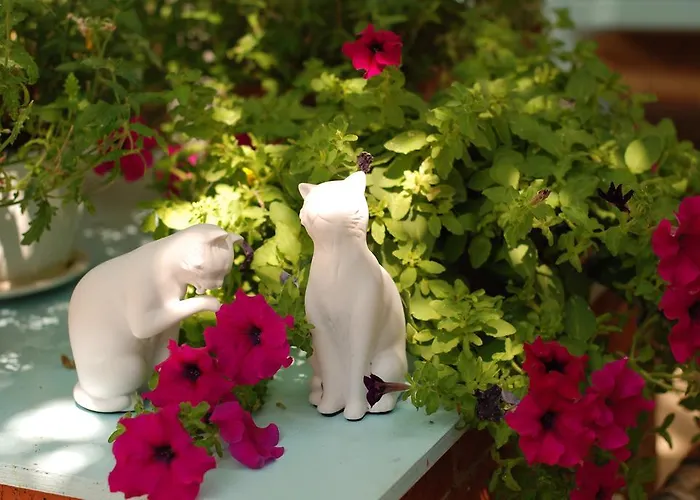 Cunda Altay Hotel فندق *